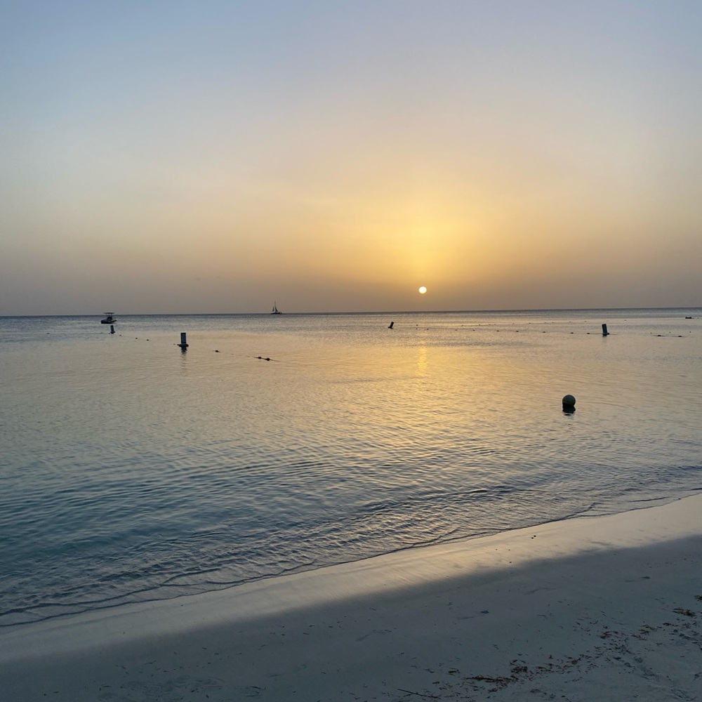 Meet your Posher, Concetta